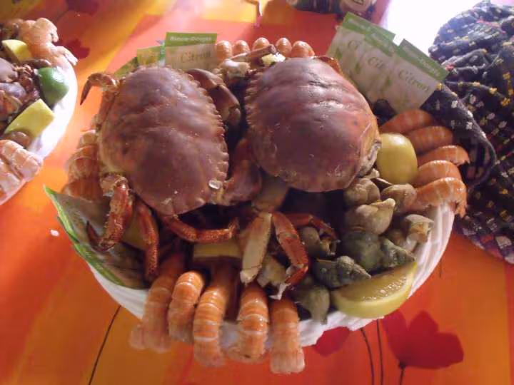 Plateau fruits de mer 2