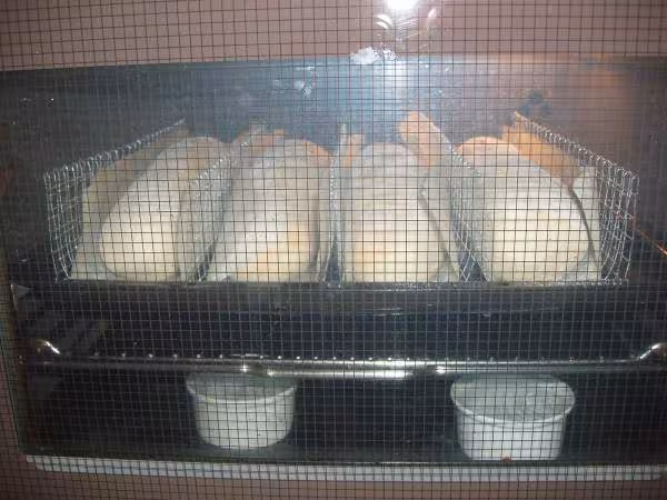 Premieres baguettes dans le four