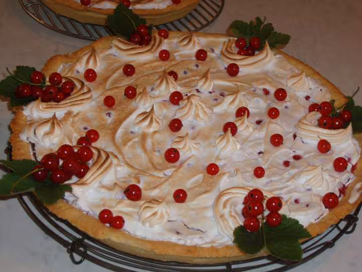 Tarte aux groseilles meringuee