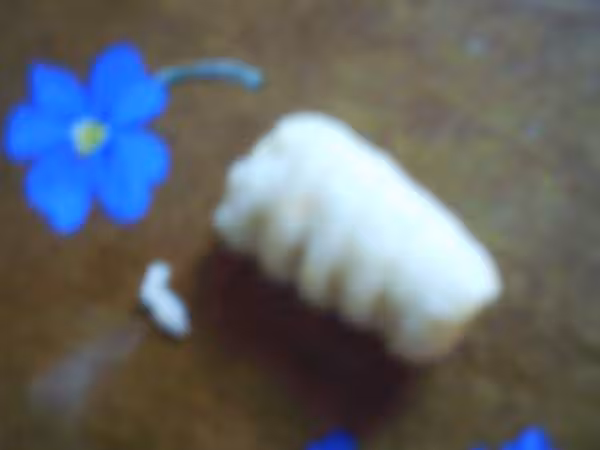 Gnocchi maison