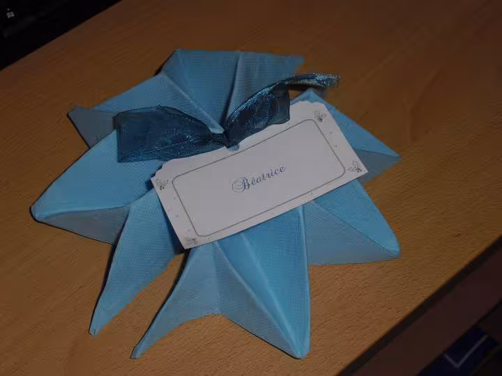 Serviette 2011 1