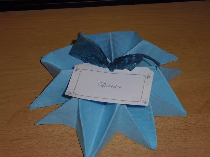 Serviette noel 2011
