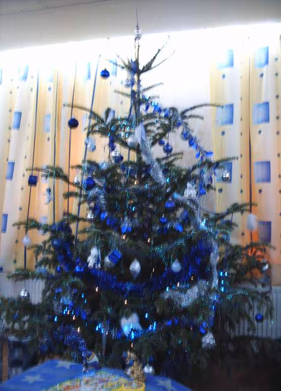 Mon sapin de noel en 2004