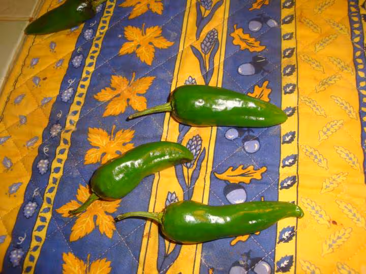 Piments farcis les souris