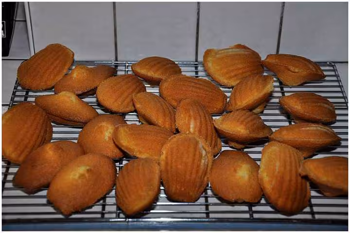 Madeleines
