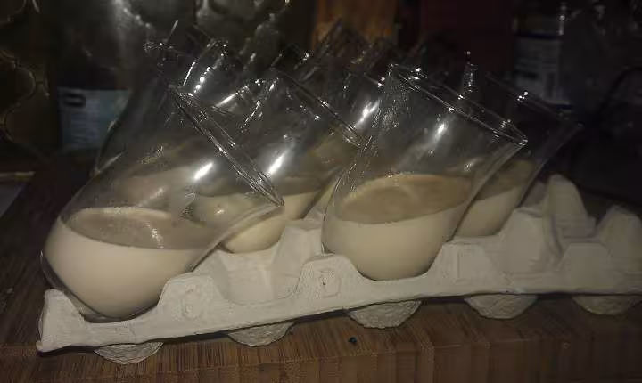Panacotta