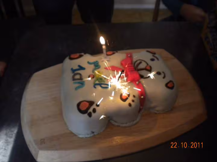 2eme gateau pour les 1an de mon ti coeur ourson arc en ciel en pate a chamallow
