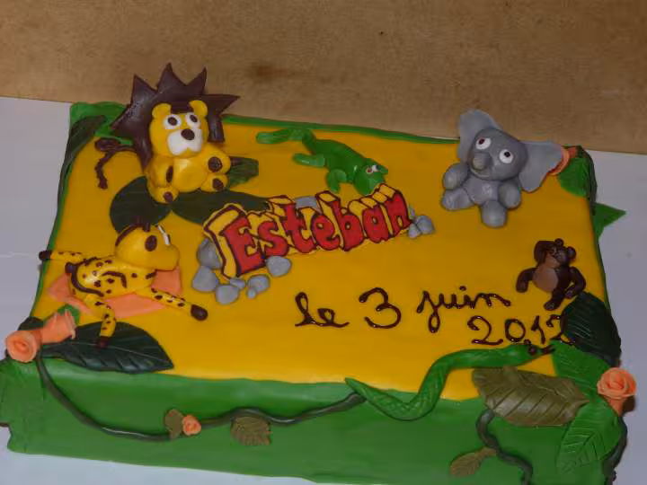 La jungle d esteban