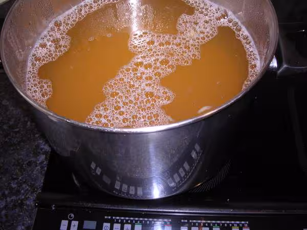 Demarrage de la gelee de coings
