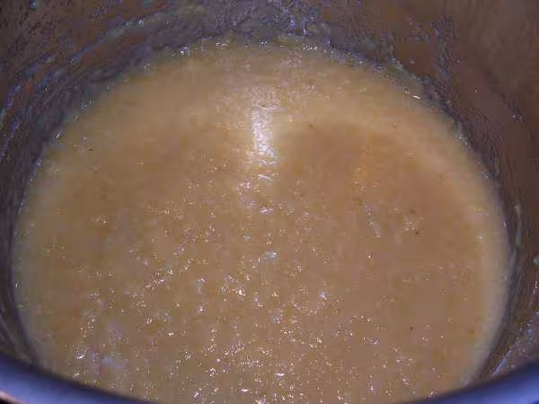 Demarrage de la pate de coings