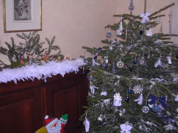 Mon sapin de noel