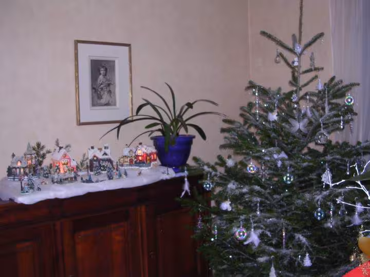 Sapin 2006 et son village