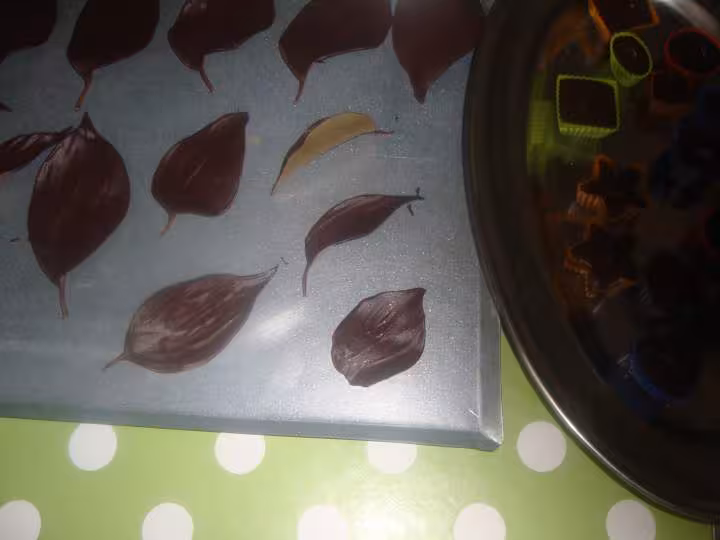 Feuilles au chocolat