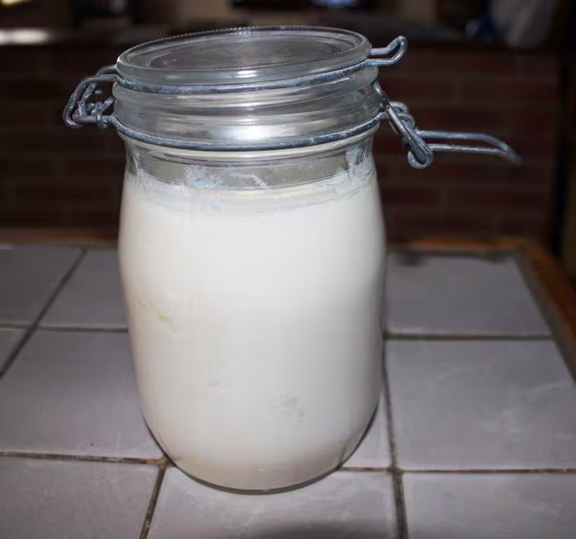 Fab lait ribot 2
