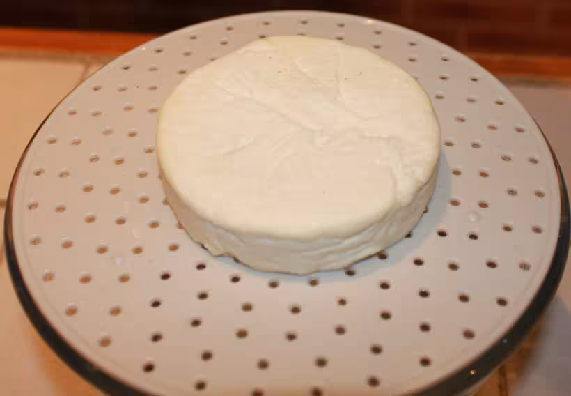 Fromage chevre 1