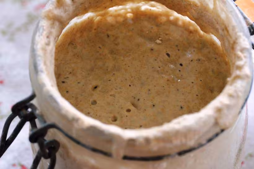 Levain