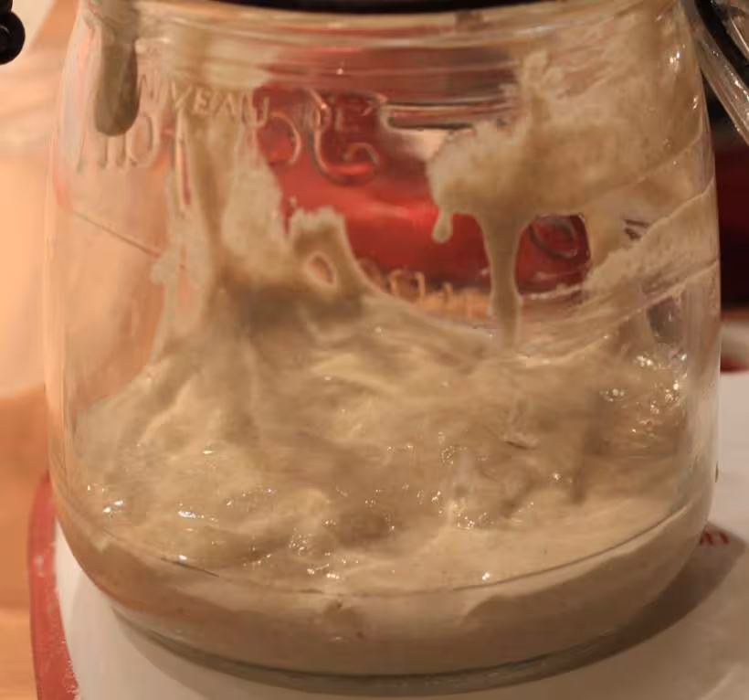 Levain 1