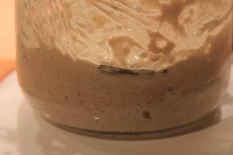 Levain 2