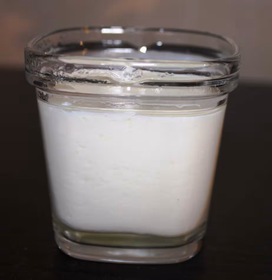 Yaourts au lait ribot