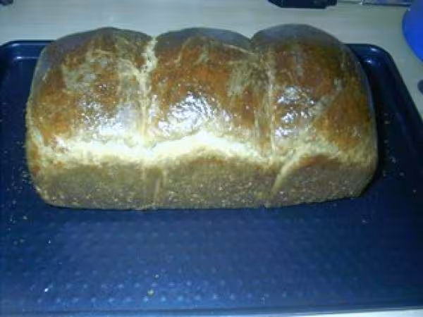 Brioche photo2