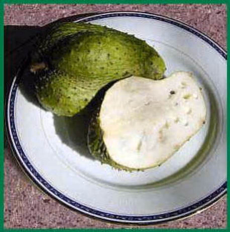 Corossole