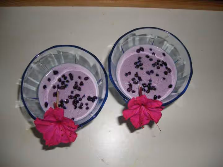Panna cotta