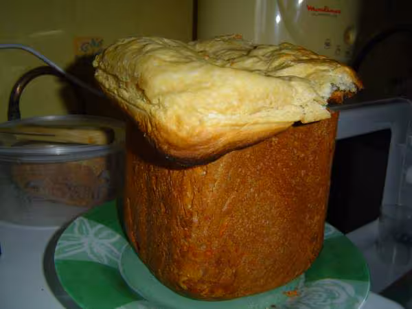 Brioche champignon cuite