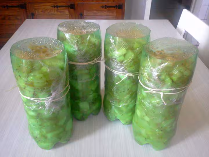 Conserve de courgettes