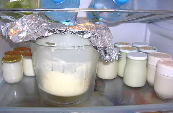Frigo