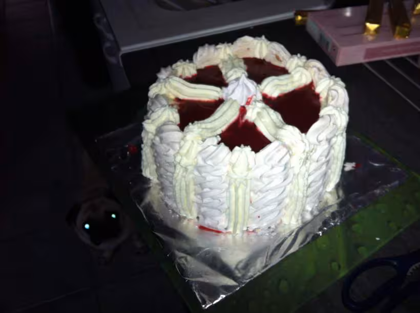 Mon deuxieme vacherin