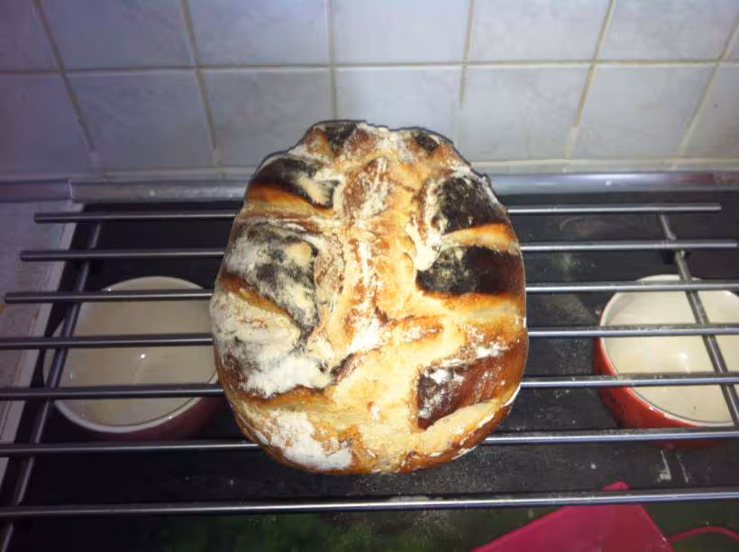 Premier pain cocotte