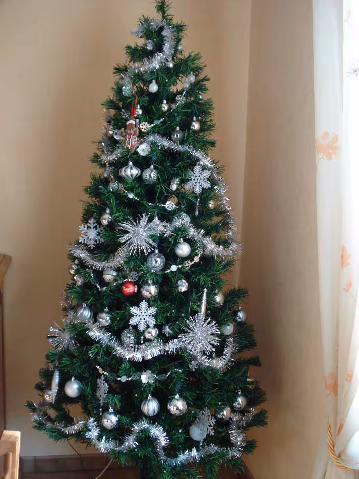 Sapin de noel