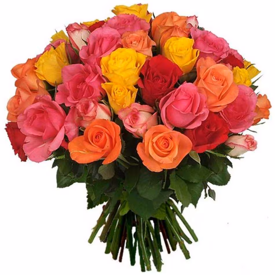 Fleurs belles