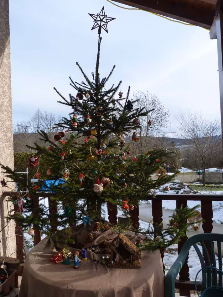 Sapin