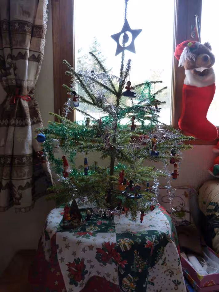 Sapin du salon