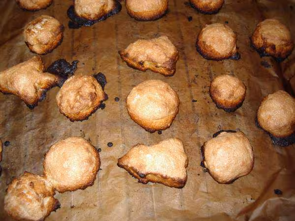 Etoiles de noel et autres