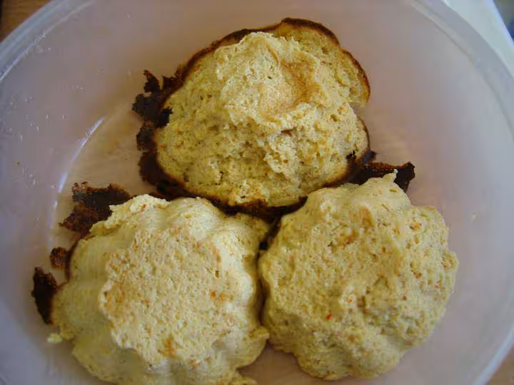 Timbale de courgettes au tofu fume