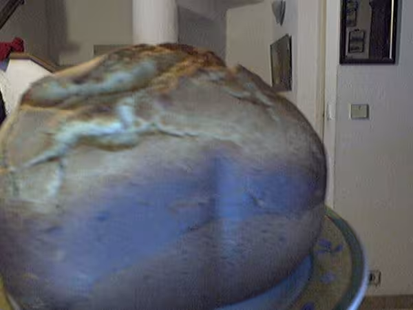 Pain a l abricot 2