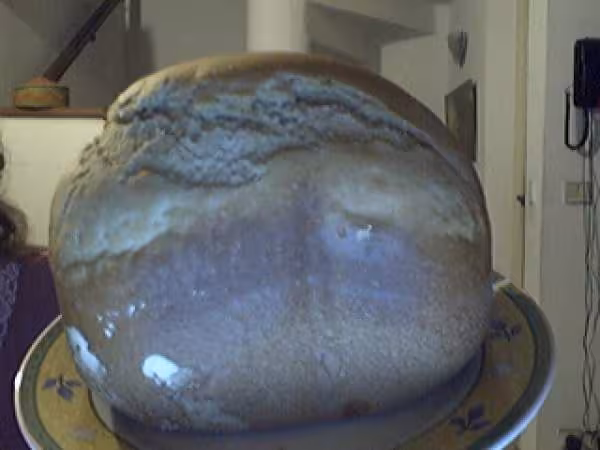 Pain au beurre de cacahuetes et bananes