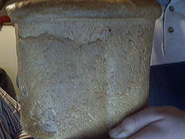 Pain au lait
