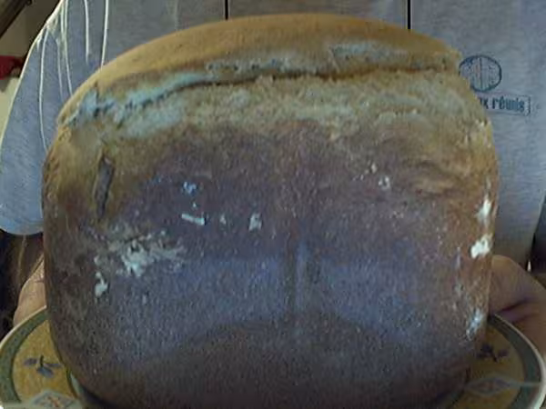 Pain au yaourt et au miel