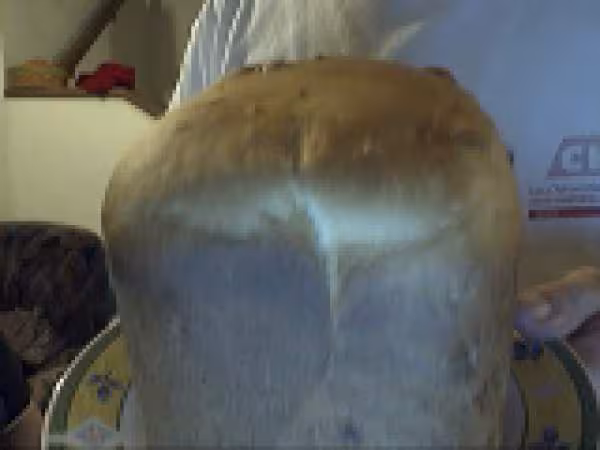 Panettone