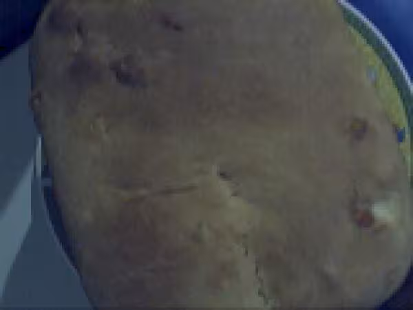 Panettone 3