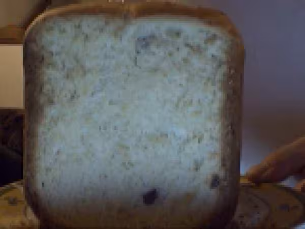Panettone 4