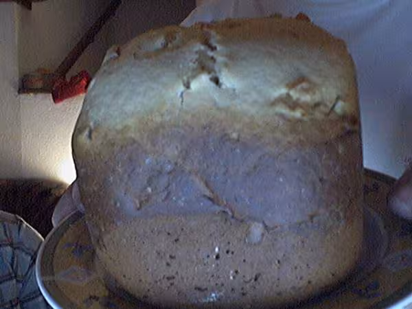 Panettone a base lev fraiche