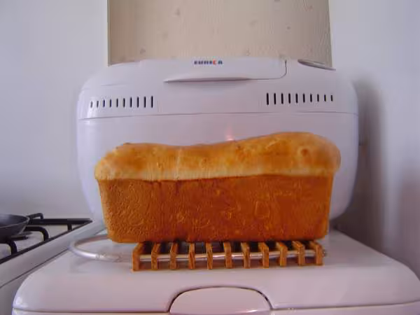Saucisson en brioche