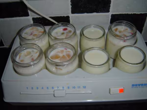 Yaourts avec des fruits au sirop