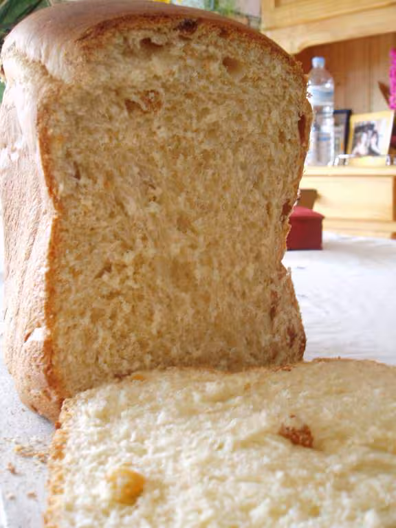 Panettone suite
