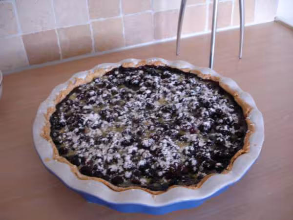 Tarte myrtilles