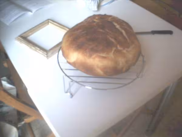 Brioche cocotte